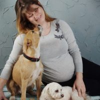 031_schuNR__8237b_13x18