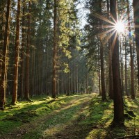 001_2022_03_DSCF9675