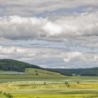 004_hermanns_felder01