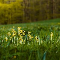 006_2025_03_DSCF5896