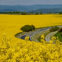 010_2024_05_DSCF4400