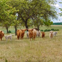 020_2024_06_NR__8546