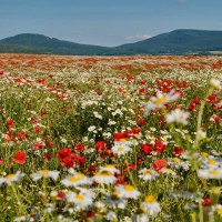 023_2021_07_DSCF6185