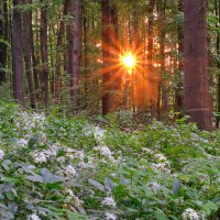 026_2022_06_DSCF0437