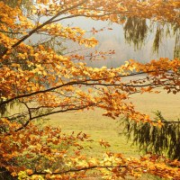 028_2022_10_DSCF8085b