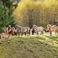 029_2018_09_DSCF6732