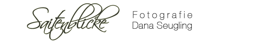 Saitenblicke · Fotografie Dana Seugling